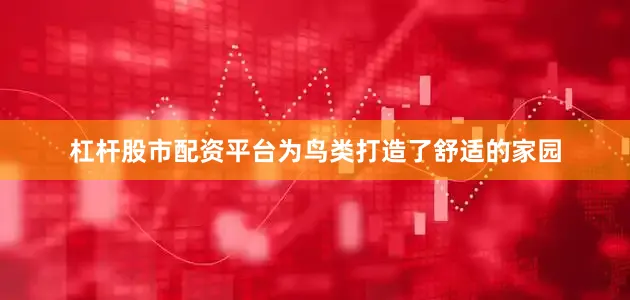 杠杆股市配资平台为鸟类打造了舒适的家园