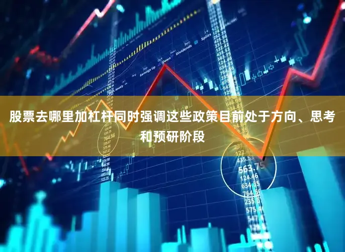 股票去哪里加杠杆同时强调这些政策目前处于方向、思考和预研阶段