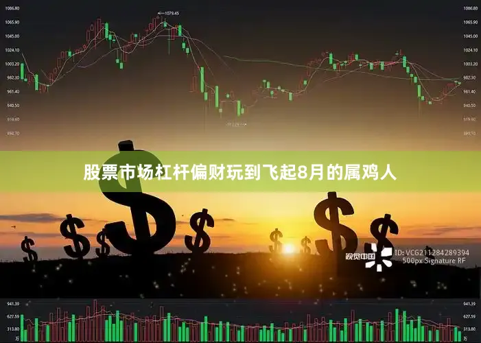 股票市场杠杆偏财玩到飞起8月的属鸡人