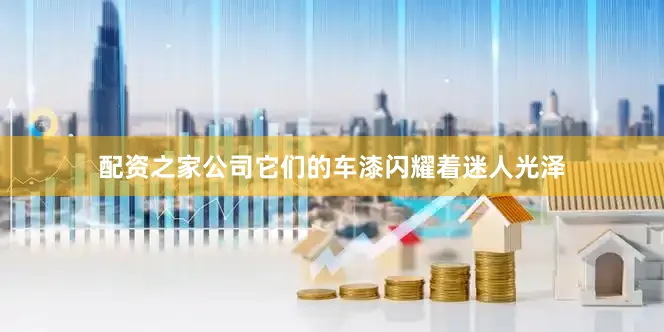配资之家公司它们的车漆闪耀着迷人光泽