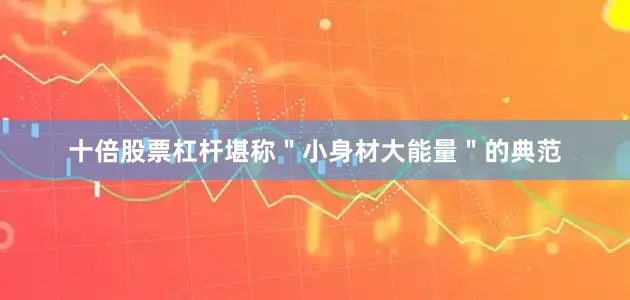 十倍股票杠杆堪称＂小身材大能量＂的典范